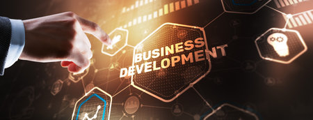 Business Development. Financial Plan Strategy Development Process Graphic 3D Conceptの写真素材