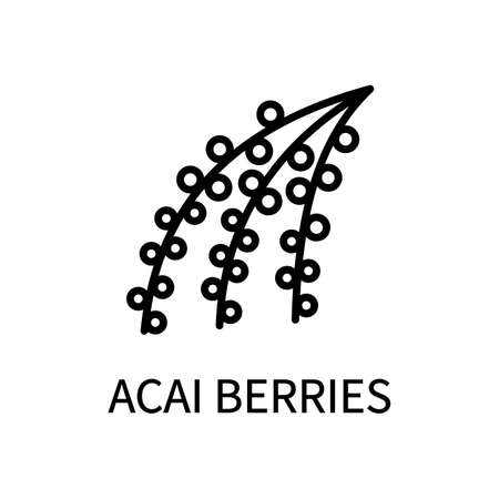 Acai Berry Line Icon In Simple Style. Healthy Healthy Food. Vector sign in a simple style isolated on a white backgroundのイラスト素材