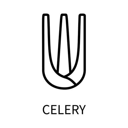Line Icon Celery In Simple Style. Vector sign in a simple style isolated on a white background.のイラスト素材