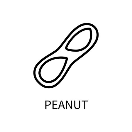 Peanut Line Icon Is In A Simple Style. Vector sign in a simple style isolated on a white background. Original size 64x64 pixels.のイラスト素材