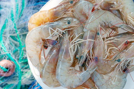 <p>Large prawn or jumbo shrimp. In North America, the term is used less frequently, typically for freshwater shrimp. The terms shrimp and prawn themselves lack scientific standing.</p>の写真素材