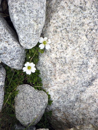 Mountainsの写真素材