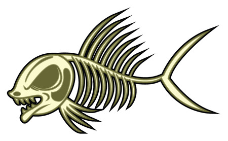 fish skeletonのイラスト素材