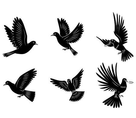 Dove Flying Set Collectionのイラスト素材