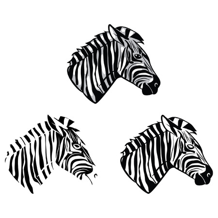 Coloring book Zebra Head cartoon characterのイラスト素材