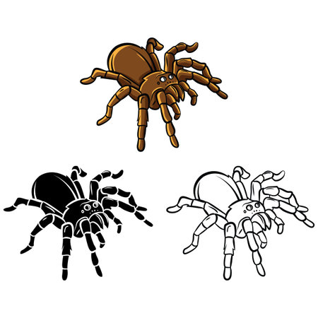 Coloring book Tarantula cartoon characterのイラスト素材
