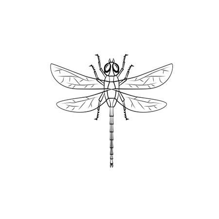 dragonfly symbol illustrationのイラスト素材