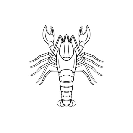 Lobsterのイラスト素材