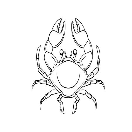 Crabのイラスト素材