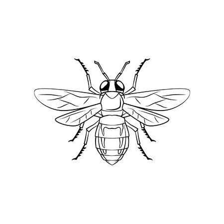 Bee symbol illustrationのイラスト素材