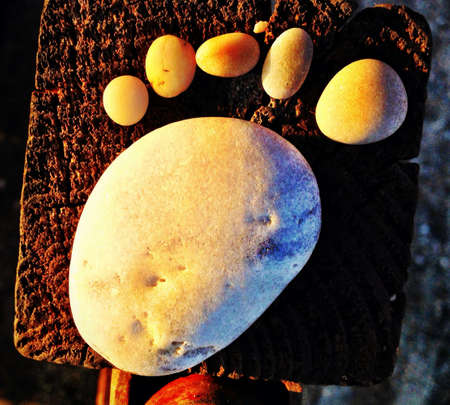 Pebble Foot print の素材