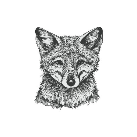 dog head vector silhouette illustration. detailed and textured designのイラスト素材