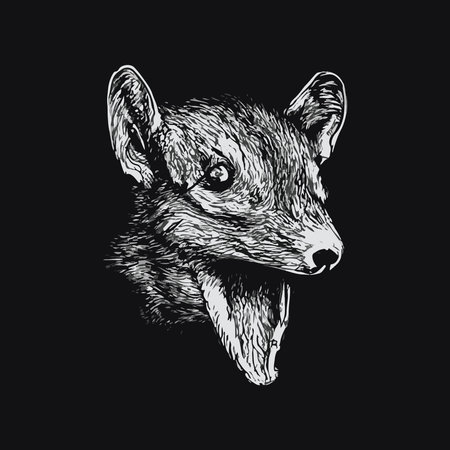 Vector illustration of a strange animal head, similar to a big and scary ratのイラスト素材