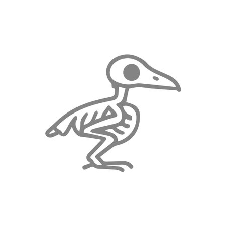 A minimalist gray bird skeleton icon highlighting basic avian internal structure and bones. Ideal for educational content, science, and veterinary themes.のイラスト素材