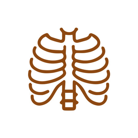 A clean brown line art icon depicting the human rib cage, suitable for illustrating anatomy, skeletal system, and vital organ protection in health and science contexts.のイラスト素材