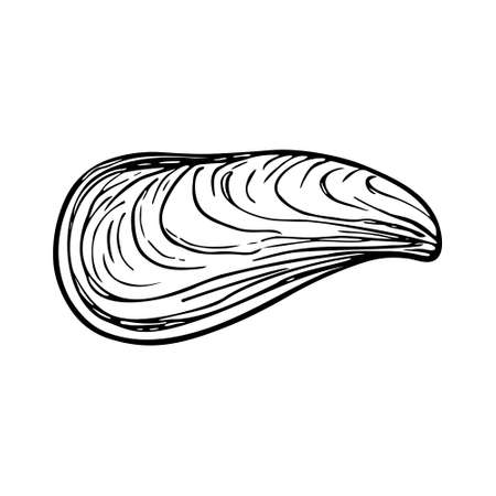 Doodle seashell, hand-drawn sea symbol. Fossil conch painted by ink, pen. Line, minimalism. Simple sketchy icon. Isolated.Vector illustration.のイラスト素材
