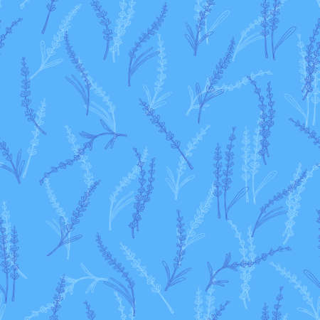 Lavender seamless pattern,doodle hand drawn backdrop.Botanical floral wallpaper,botanical decoration of french field flower,natural organic product,herb.Design for medicine, aromatherapy,tea ceremony.のイラスト素材