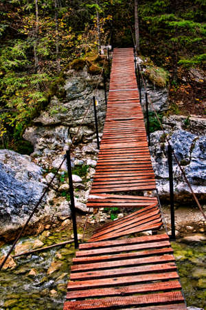 Broken wooden bridge with missing planks.の写真素材