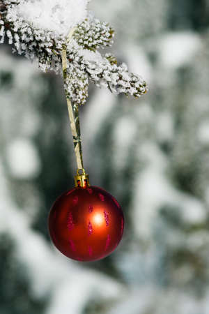 Christmas decoration hanging on tree with snowの写真素材