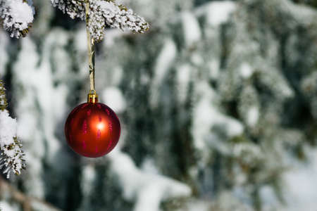 Christmas decoration hanging on tree with snowの写真素材