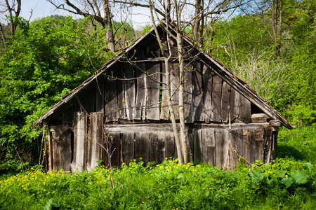 old wooden brown retro house in green forestの写真素材