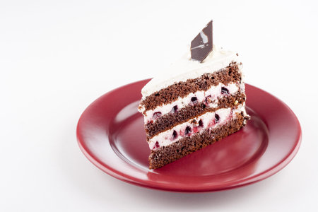 tasty cake on a marsala color plate on white table