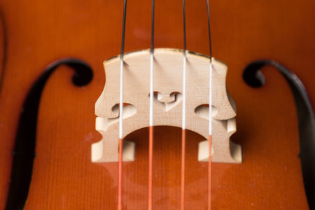 detail close up image of a classical instrument celloの写真素材