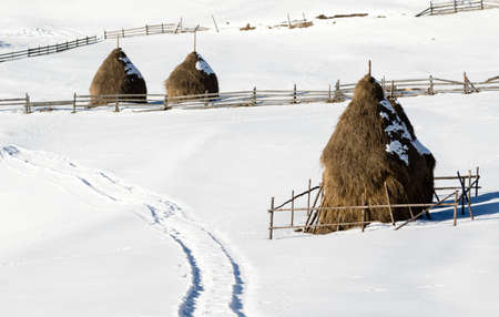 hay stack in winter time with snowの写真素材