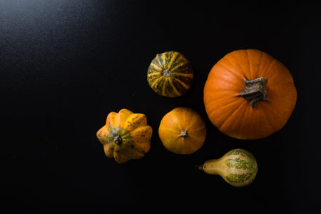 variety of decorative pumpkins on black table