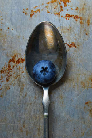 one blueberry in spoon on a steel plateの写真素材