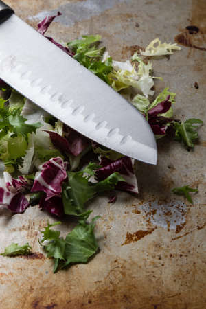colorful chopped lettuce on grungy steel plateの写真素材