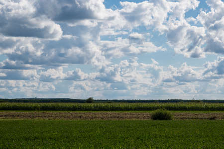 cloudy summer rural color landscape with cloudsの写真素材