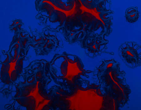 close up abstract image of different color paint