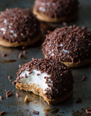 delicious marshmallow dark chocolate biscuit with sprinklesの写真素材