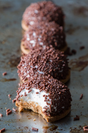 delicious marshmallow dark chocolate biscuit with sprinkles
