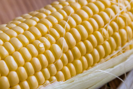 fresh ripe yellow sweet corn on table