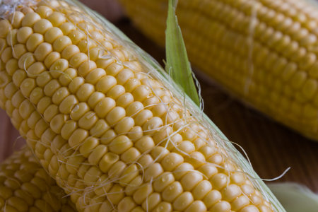 fresh ripe yellow sweet corn on table