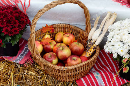 color autumn decoreation with food and flowers outsideの写真素材