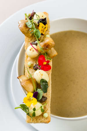 stylish gourmet mushroom cream soup with decorated toast sliceの写真素材