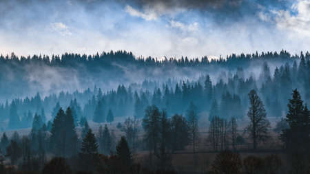 color orange blue autumn dawn landscape with fogの写真素材