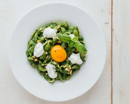 tasty fresh green conchiglie with spinach on white plateの写真素材