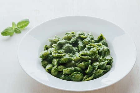 tasty fresh green conchiglie with spinach on white plateの写真素材