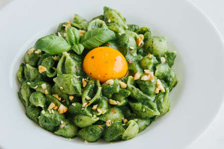 Tasty fresh green conchiglie with spinach on white plateの写真素材