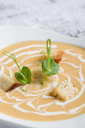 fresh vegetable cream soup with bread crums in white plateの写真素材