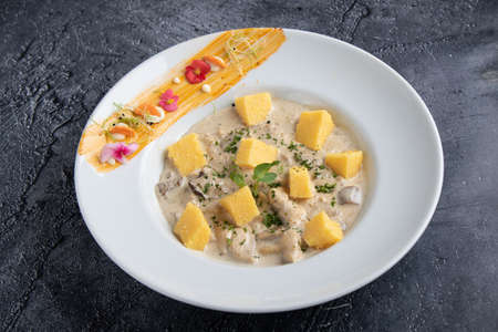 chicken with mushrooms sauce and polenta cubes in white tableの写真素材