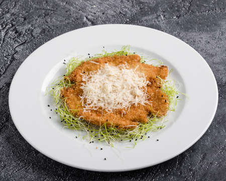tasty delicious fried chicken schnitzel in restaurant settingの写真素材