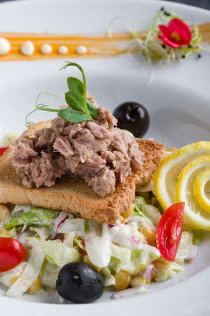 fresh healthy tuna salad appetizer on white plateの写真素材