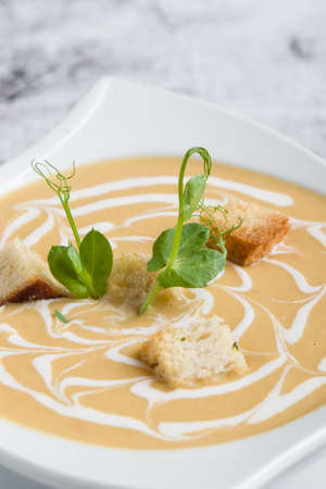 fresh vegetable cream soup with bread crums in white plateの写真素材