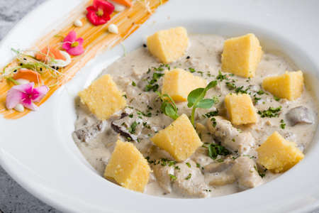 chicken with mushrooms sauce and polenta cubes in white tableの写真素材