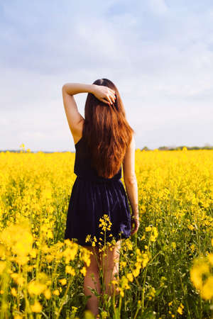 Rear view of young woman with hand in long hair on yellow blooming rapeseed fieldの写真素材